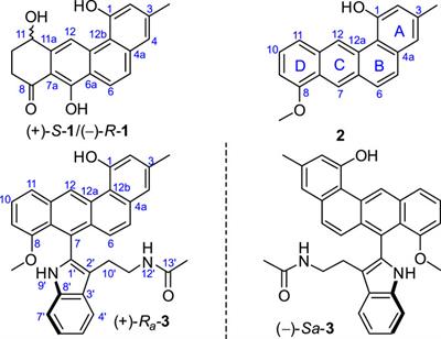 Ring D-Modified and Highly Reduced Angucyclinones From Marine Sediment-Derived Streptomyces sp.